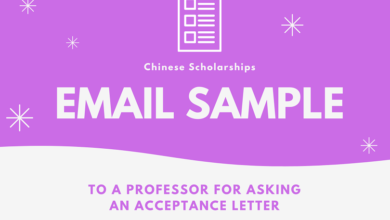 Email Sample to request Acceptance Letter from Professors at Chinese University for CSC Scholarship
