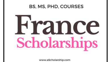 Scholarships in France 2023-2024 - French Scholarship Admissions Open