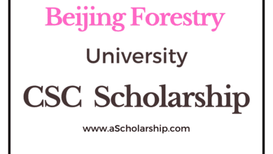 Beijing Forestry University (CSC) Scholarship 2023-2024 - China Scholarship Council - Chinese Government Scholarship