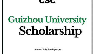 Guizhou University (CSC) Scholarship 2022-2023 - China Scholarship Council - Chinese Government Scholarship