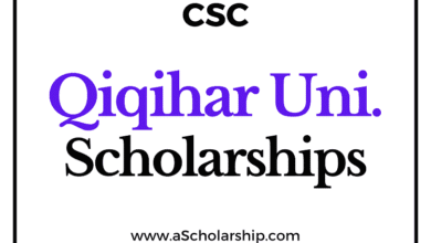Qiqihar University (CSC) Scholarship 2022-2023 - China Scholarship Council - Chinese Government Scholarship