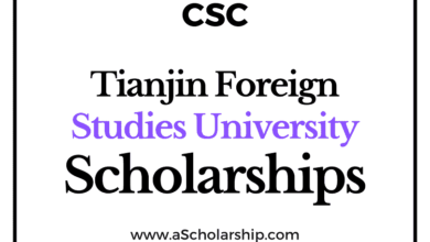 Tianjin Foreign Studies University (CSC) Scholarship 2022-2023 - China Scholarship Council - Chinese Government Scholarship