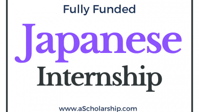 NIGINTERN Internship program 2022-2023 Japanese Internships 2021