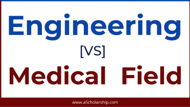 Engineering or Medical Which Field is Best for You to Select in 2021