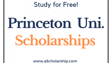 Princeton University Scholarships 2023 to Study free in New Jersey USA
