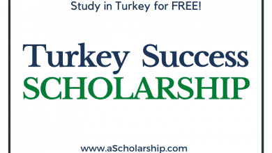 Turkish Success Scholarship 2023-2024: Start Your Application Submission