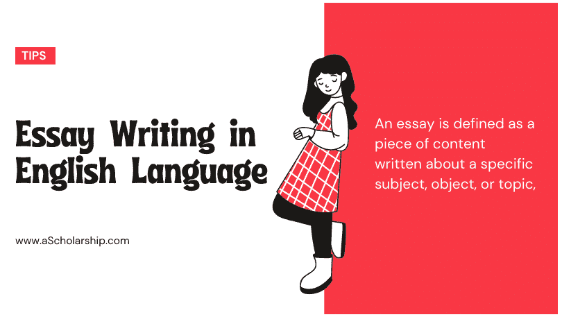 essay writing in english composition