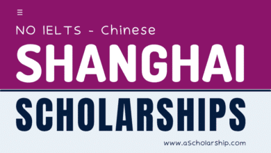 Shanghai Government Scholarship (SGS) 2023-2024 Without IELTS