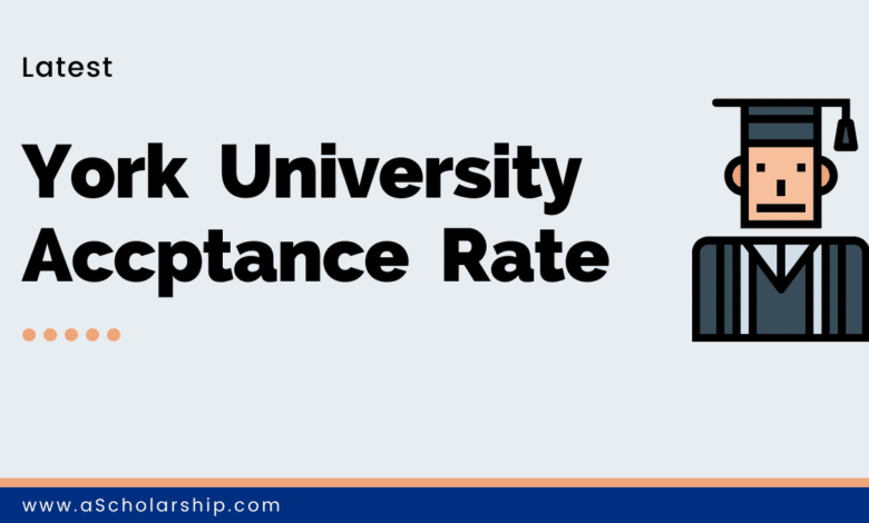 York University Toronto Admissions Open 2023 - Acceptance Rate 89%