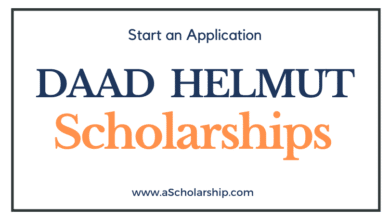 DAAD Helmut Scholarships 2023-2024 for International Students