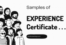 Experience Certificate Format and Samples Work Experience Letter Official Samples