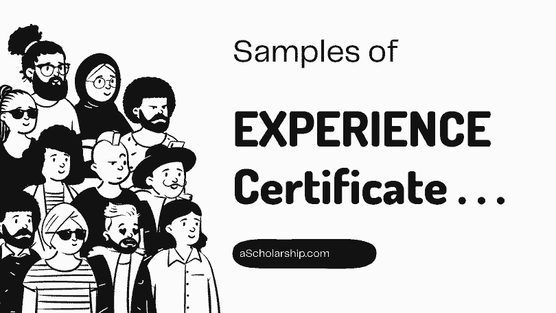 Experience Certificate Format and Samples Work Experience Letter Official Samples