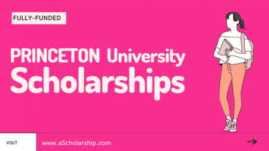 Princeton University Scholarships in New Jersey