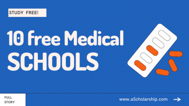 10 Free Medical Schools in Our Premium List to Study Medicine for Free