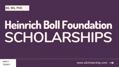 Heinrich Boll Foundation Scholarships 2024 in Germany for Admissions in BS, MS, PhD Courses
