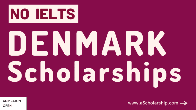 Denmark Scholarships 2024 Without IELTS to Study for free in Denmark