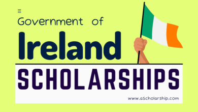 Government of Ireland Scholarships 2024 by Irish Research Council