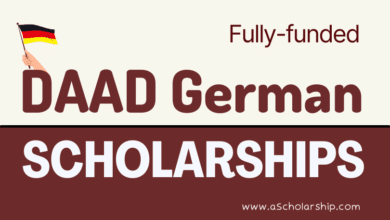 DAAD Scholarships 2023-2024 Fully Funded Germany Scholarships