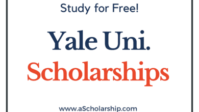 Yale University Scholarships 2023-2024 in USA