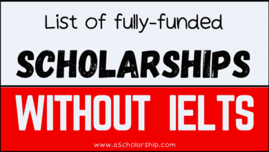 International Scholarships Without IELTS Requirement in 2023-2024