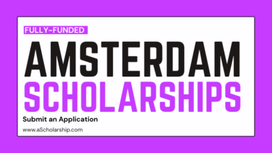 Amsterdam Merit Scholarships (AMS) 2023 for Students