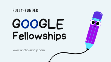 Google Fellowship Program 2023-2024 for International Students