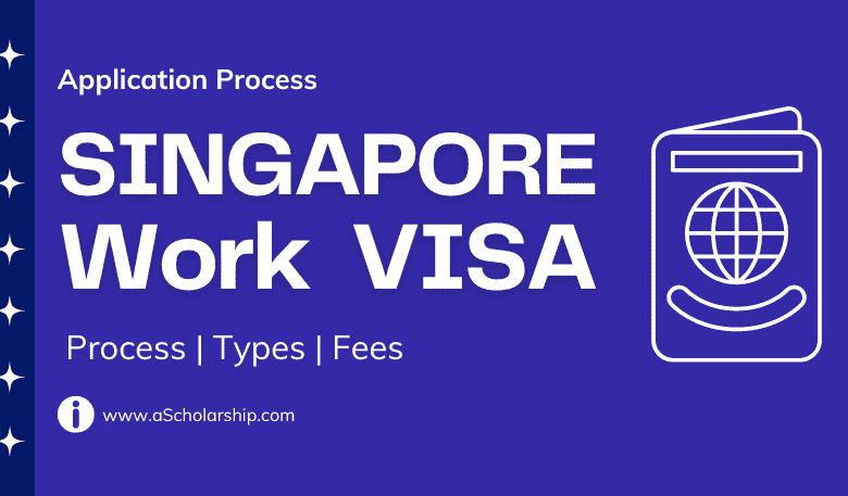 Singapore Work VISA 2024 Application Process | Types | Fees